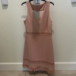 Kensie Blush Fringe Dress